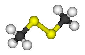 Dimethyldisulfid .jpg